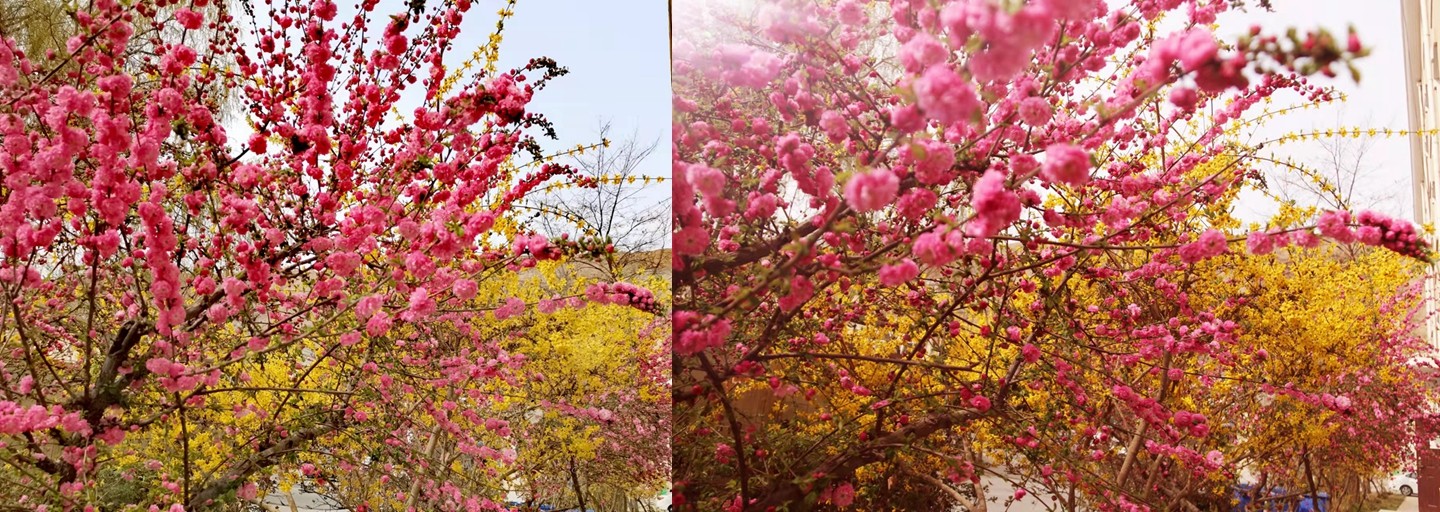 1648869768818755.jpg 1648869768818755.jpg