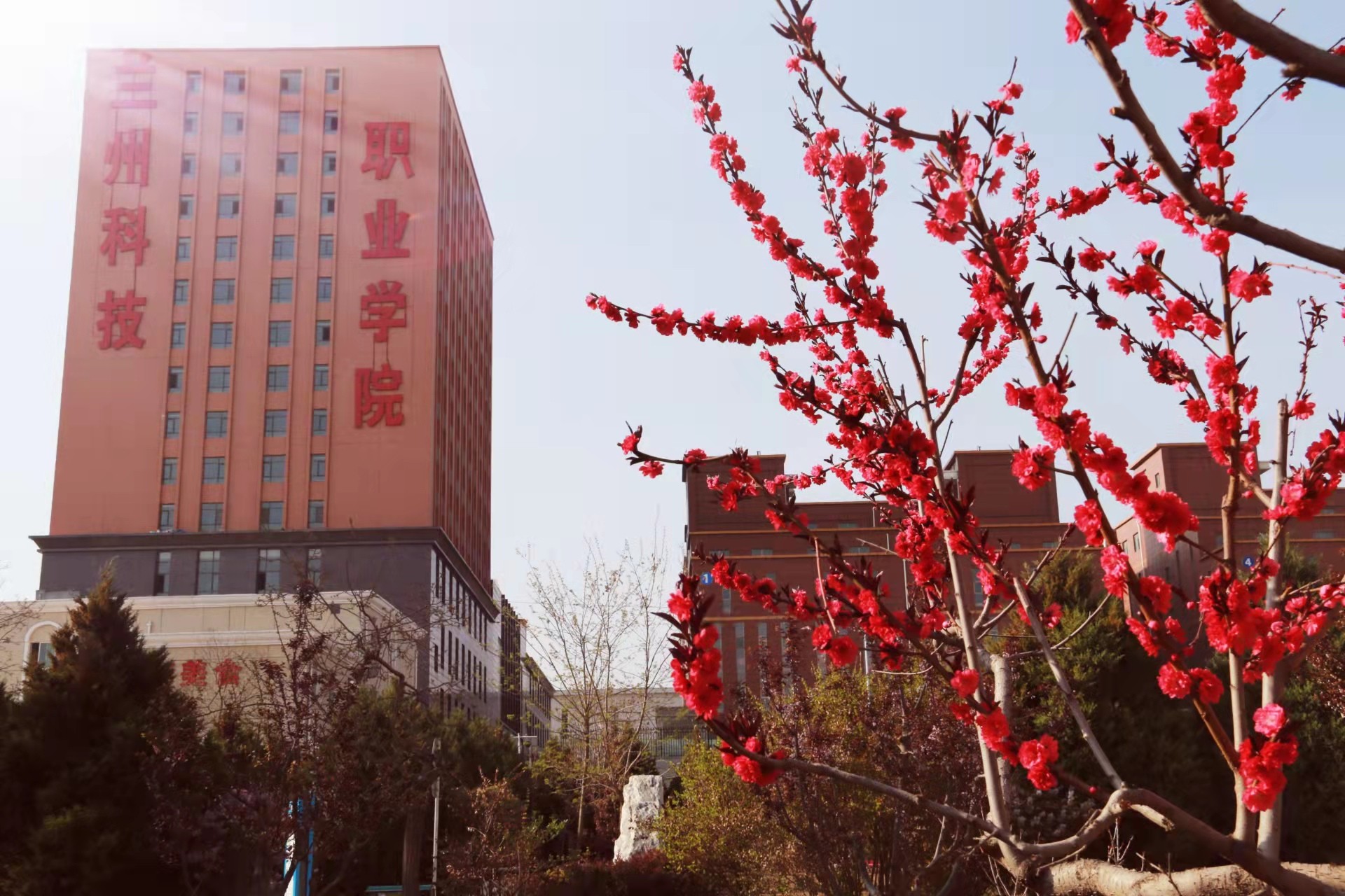 1648880438382356.jpg 1648880438382356.jpg