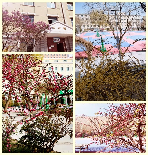 1648880624723726.jpg 9.jpg