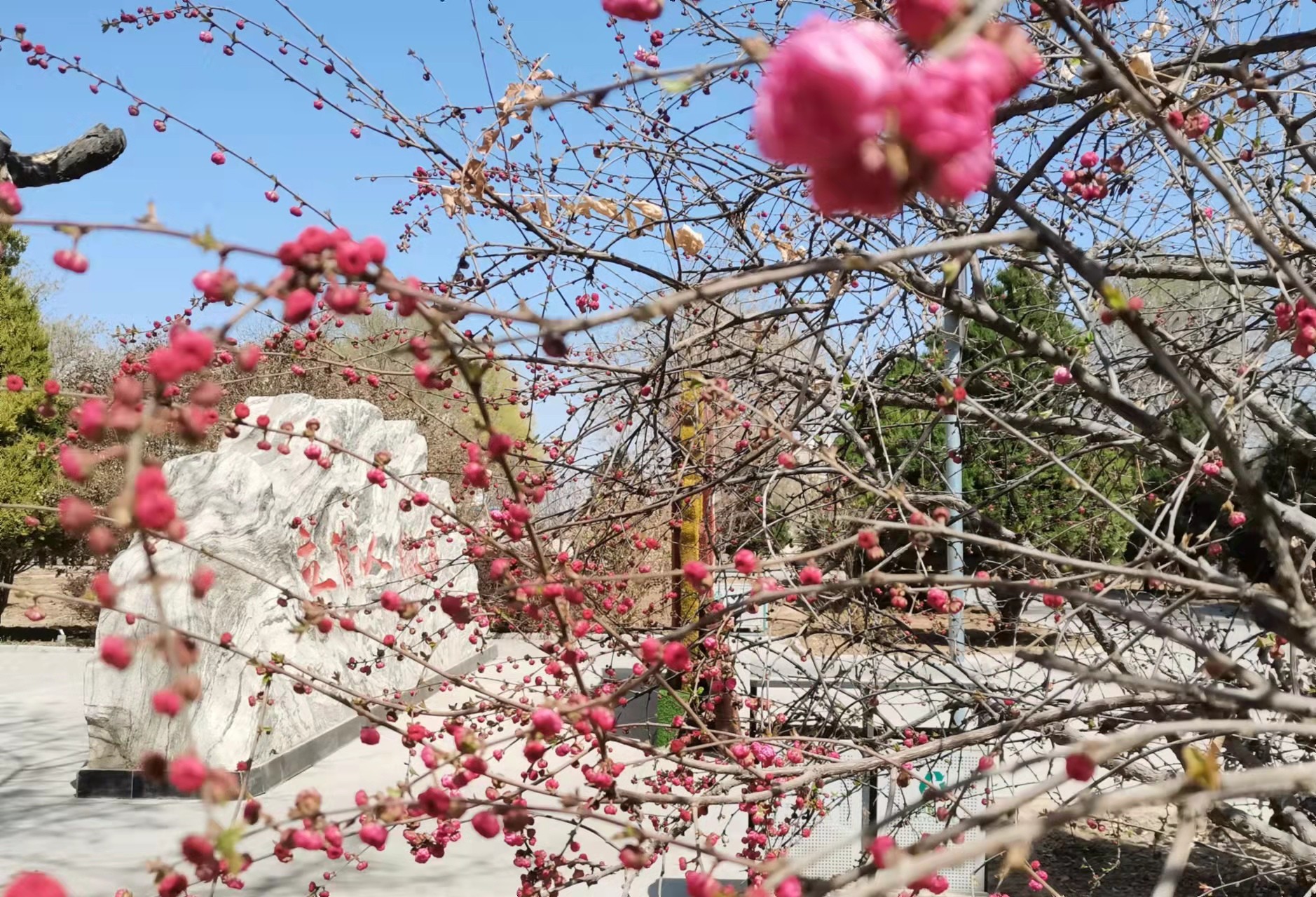 1648880720542212.jpg 1648880720542212.jpg