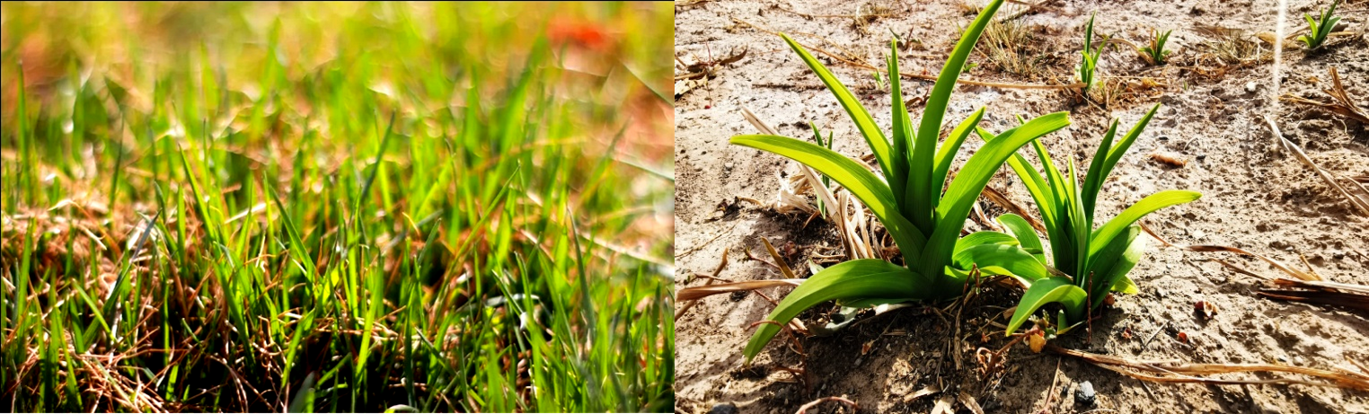 1648881476126656.png 微信图片_20220402091415_副本.png