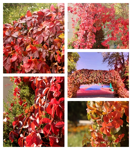 1667523803193965.jpg 1667523803193965.jpg