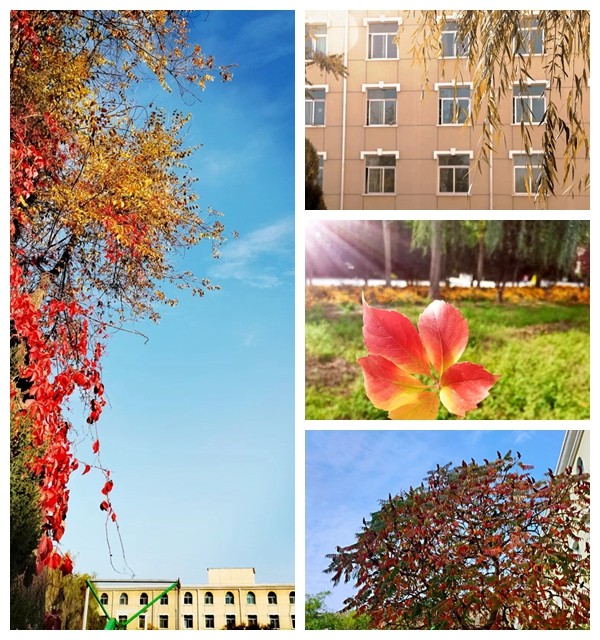 1667523956380038.jpg 1667523956380038.jpg