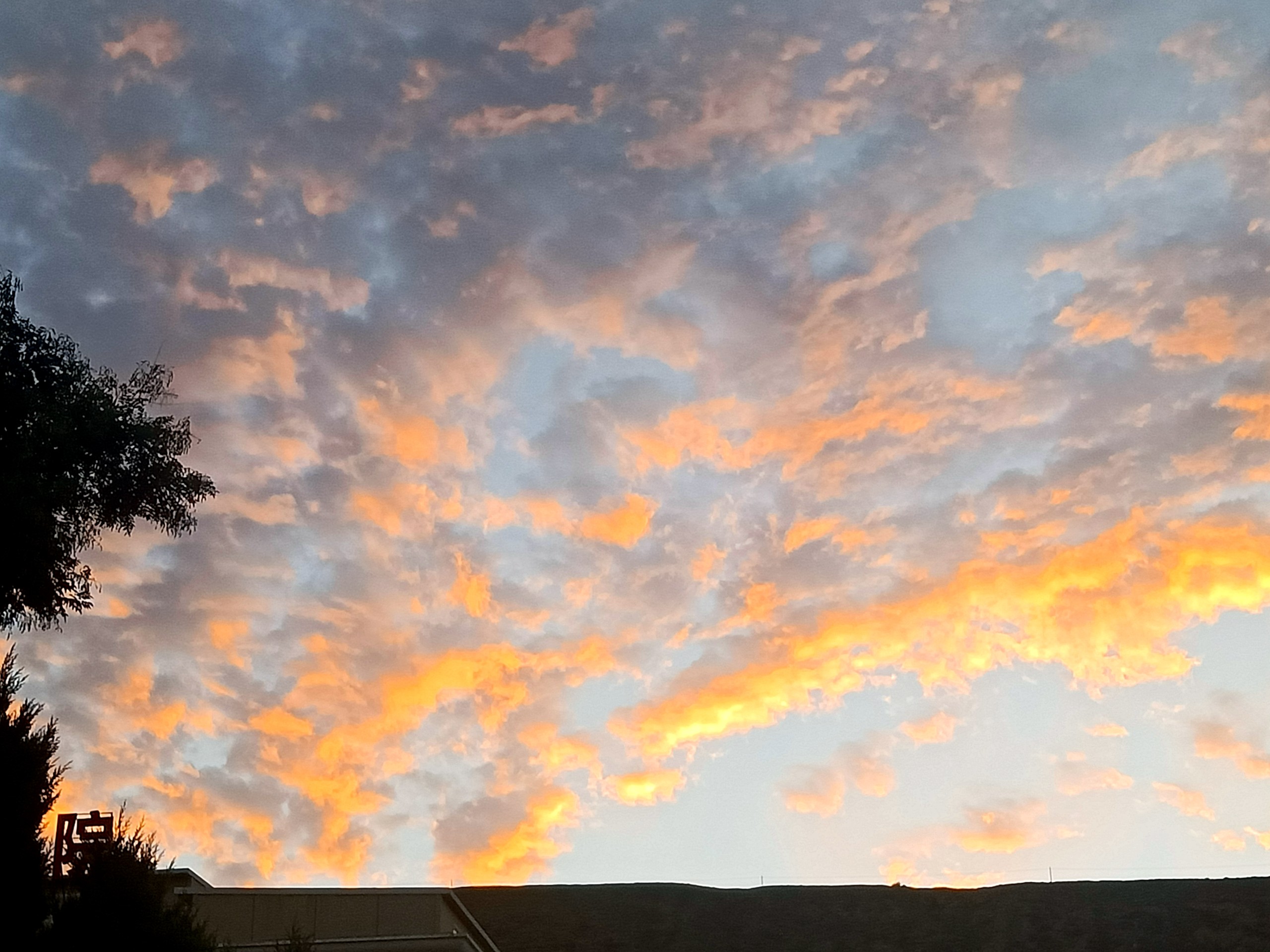 1667523999749540.jpg 1667523999749540.jpg