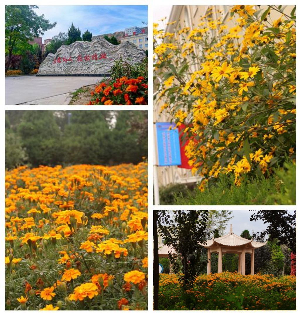 1667526914228803.jpg 1.jpg