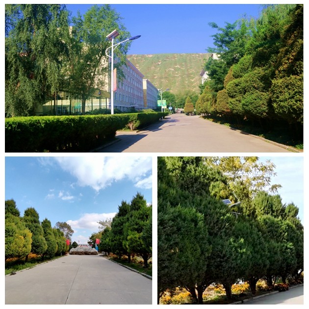 1667526937530908.jpg 3.jpg