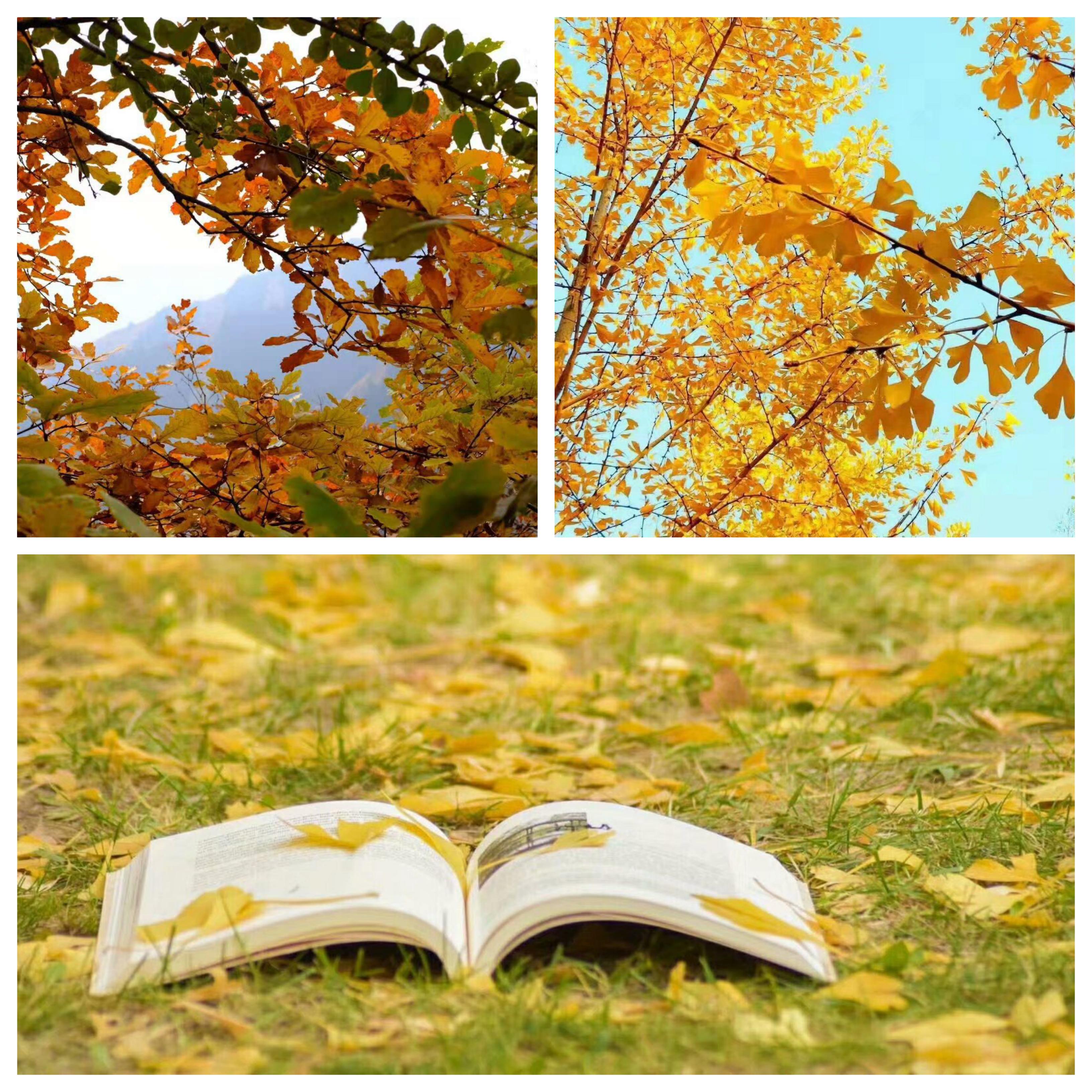 1667527001163815.jpg 1667527001163815.jpg