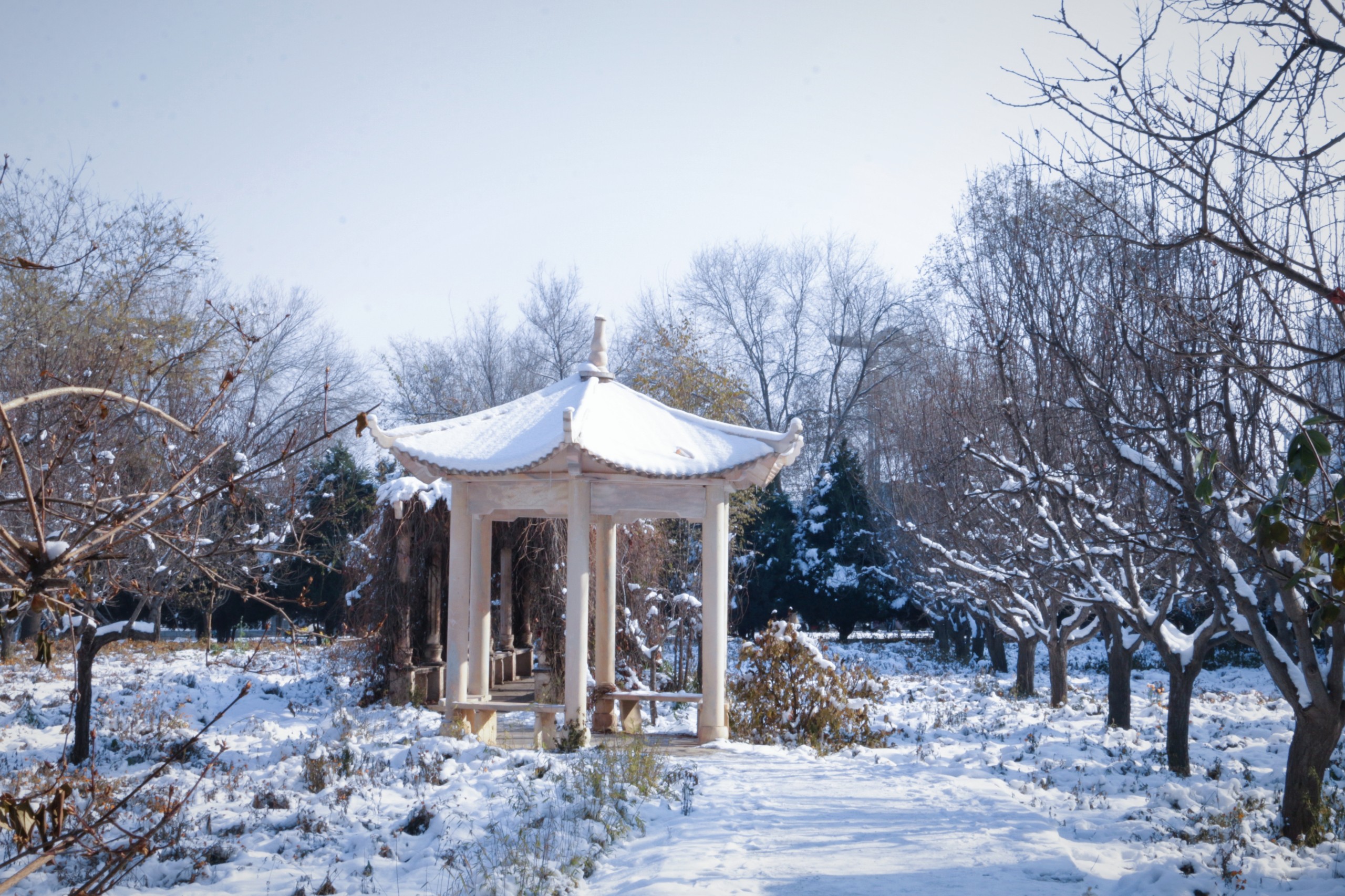 1732670222277107.jpg 微信图片_20241127091823.jpg