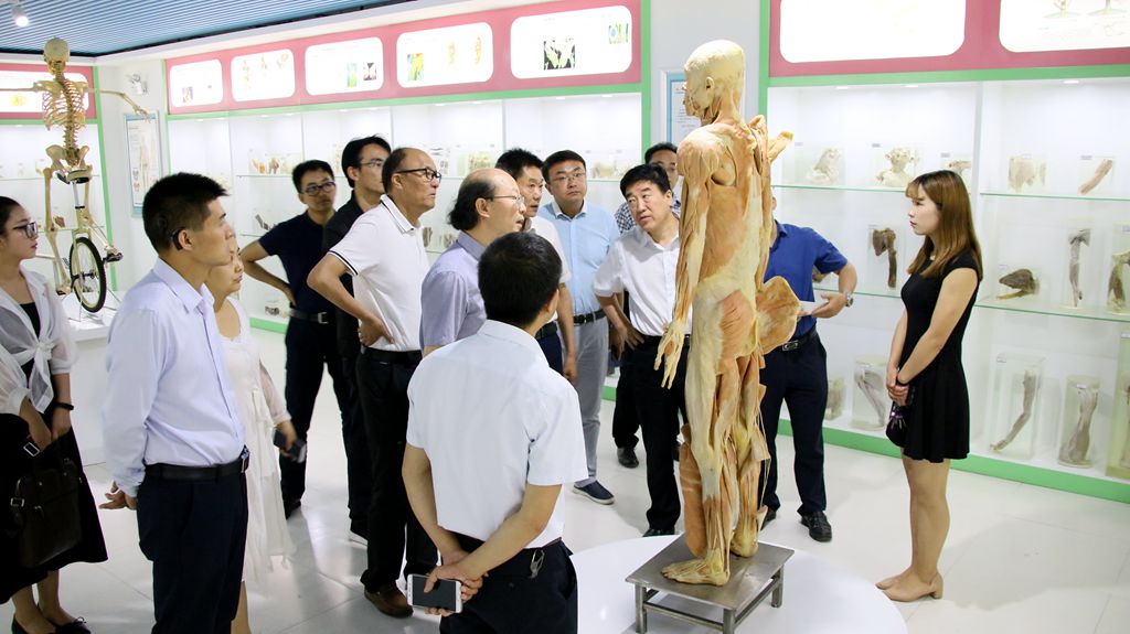 1532485700899060.jpg IMG_1014_副本.jpg