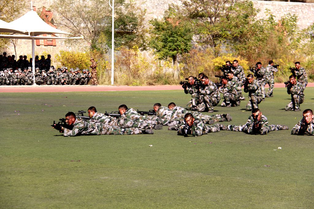 1603785334.jpg 4.jpg